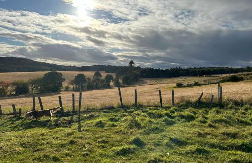 Sunnyside Apartment - Foto 9