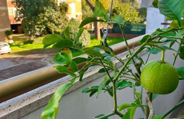 Italian luxury apartment - Foto 44