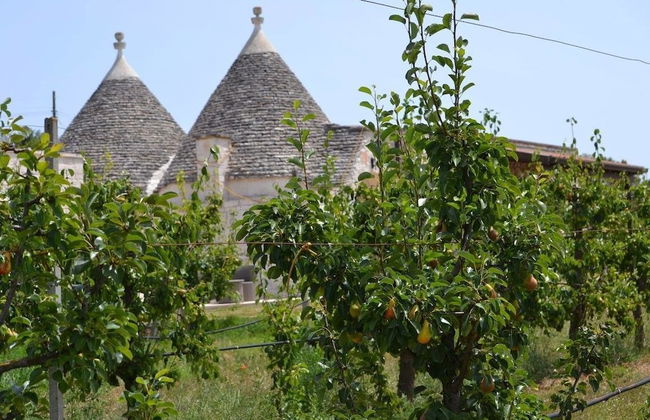 Masseria Torricella - Foto 11