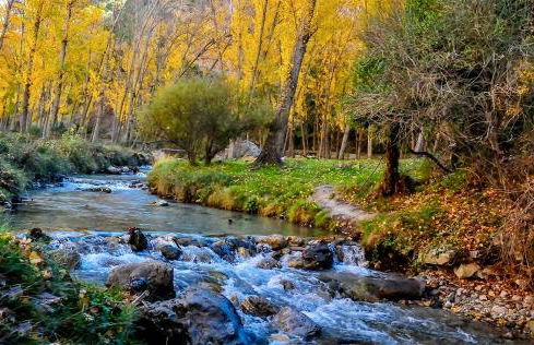 VILLA LUXURY RELAX GRANADA Ciudad Playa Montaña - Photo 47