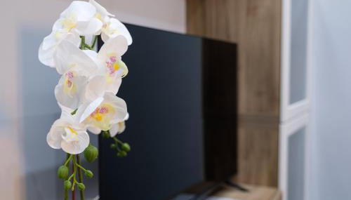 Dharma Apartment - Foto 2