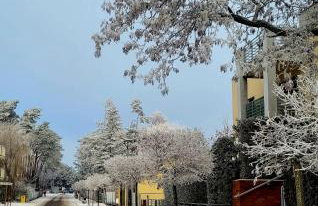 Apartament Wyspa, 2 pokoje, parking gratis - Foto 41