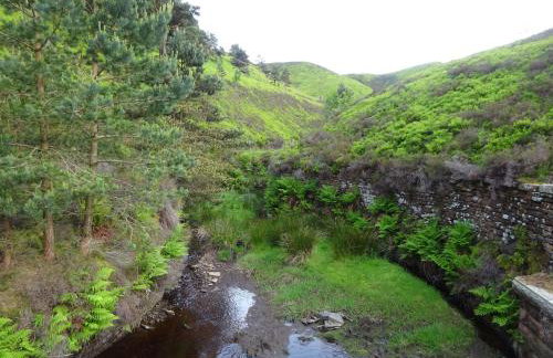 Bamforth Cottage - Foto 22