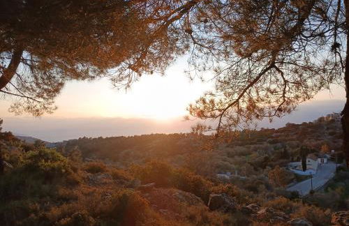 Avgonima Family's Rooms I - Photo 13