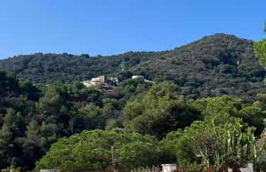 Villa Alella, 5 bedrooms & pool - Foto 56