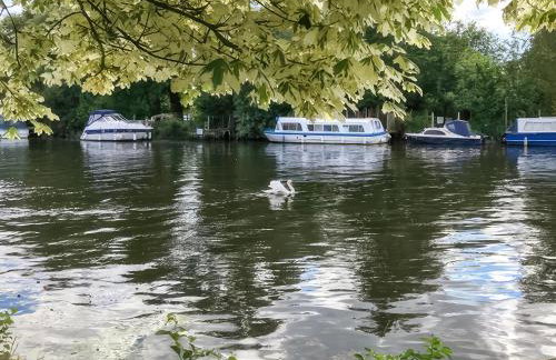 Riverside Retreat - Photo 21