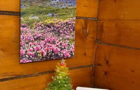 Domek Pod Kogutkiem Na Dolinie - Foto 20