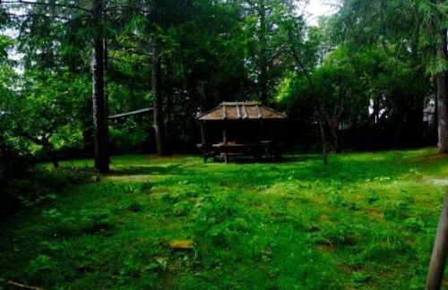 La Stella Alpina - Photo 13