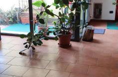 Casa Cristina - Photo 53