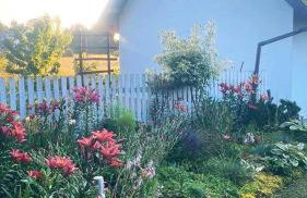 KURNIK - Domek pod lasem - Foto 21