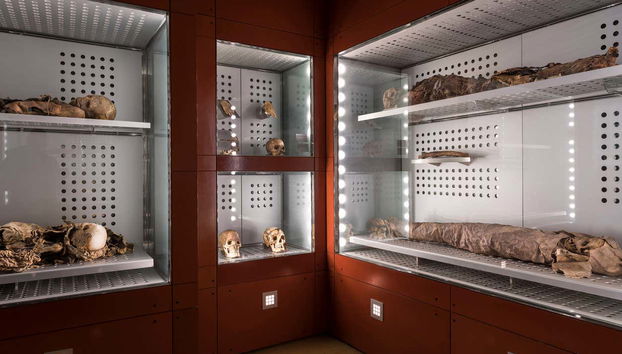 MUNA Museum Tickets + Teide National Park Audio Guide - Foto 5