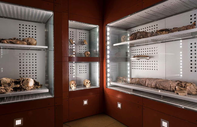 MUNA Museum Tickets + Teide National Park Audio Guide - Foto 5