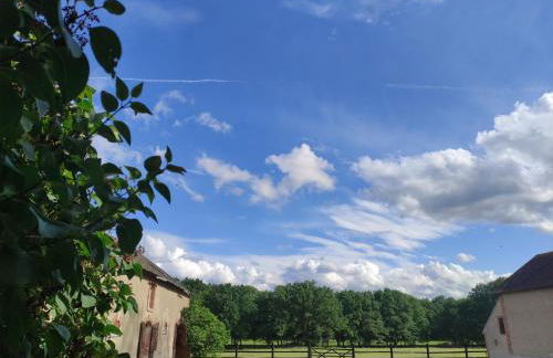 Gîte confort Les Grandes Maisons et Espace Bien Être - Photo 33