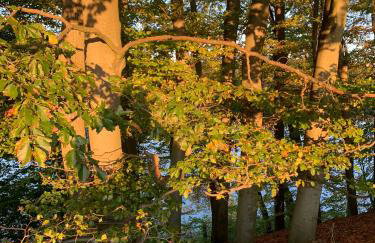 Apartamenty Buczyna w Sierakowie - Foto 7