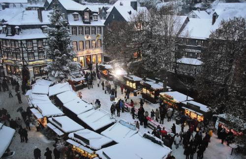 Ferienwohnung in Waldrandlage in Nationalpark Schleiden / Eifel - Foto 49