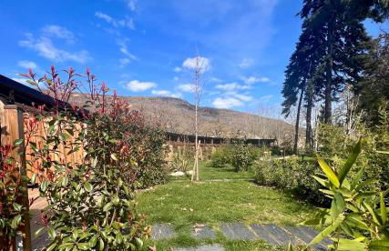 Domaine le Vaxergues - Photo 33