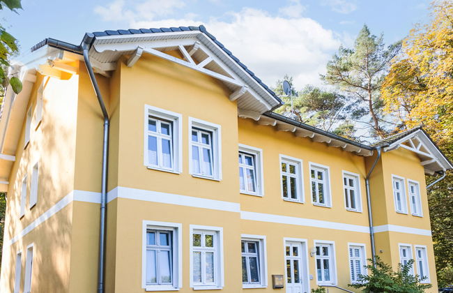 Zaunkönig - Foto 23