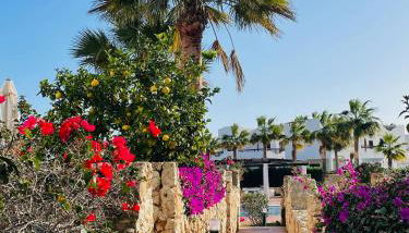 Hippie und Famila Paraiso - Foto 4, Garden view