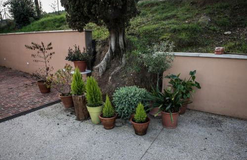 Agriturismo Terre di Anghiari - Foto 13