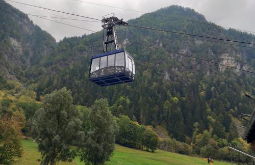 The Green Owl - Foto 59