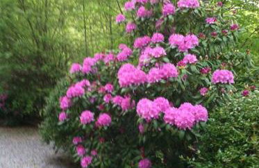 Top of the Line Asheville Mountain Cabin - Foto 60