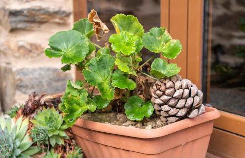 Casa Ruperto - Foto 53