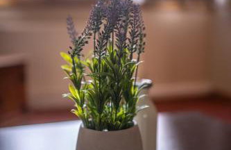 Muirhead House - Foto 29