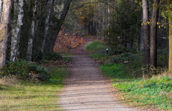 Villa in Maaspark With Sauna and Lake Views - Photo 38