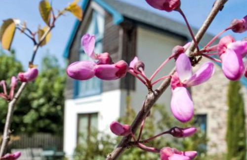 Holiday Home Haven by Interhome - Photo 20