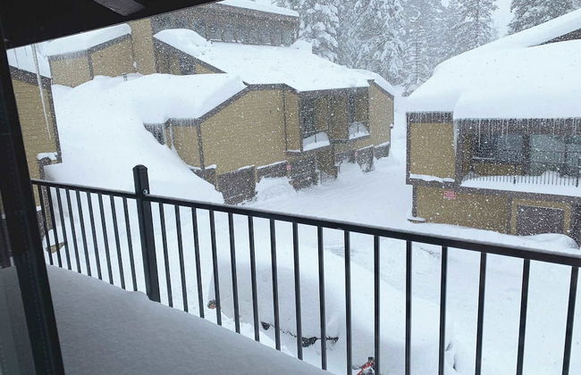 Alpine Meadows Peak 15 Min to Commons Beach - Photo 20