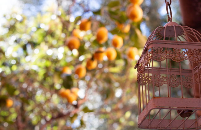 Casa Vacanze da Vicenta - Foto 15