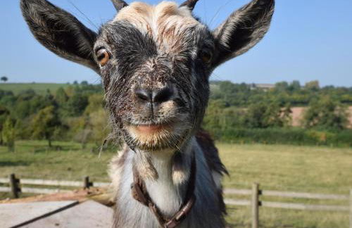 2 Bed in Leominster oc-78637 - Foto 24