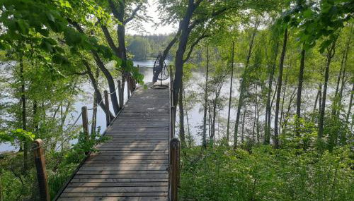 Domek nad jeziorem Gowidlińskim - Foto 5