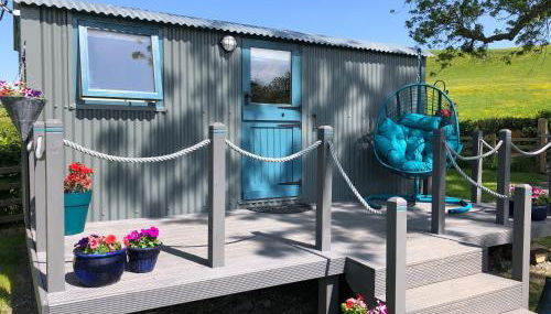 The Peacock Shepherds Hut at Hafoty Boeth - Foto 4, Garden