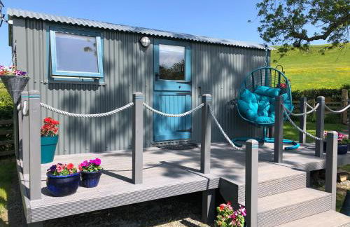 The Peacock Shepherds Hut at Hafoty Boeth - Photo 4