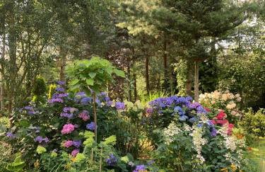 Mazurska Riwiera - Foto 30