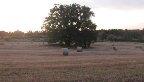 casavacanzetorresansevero - Foto 4