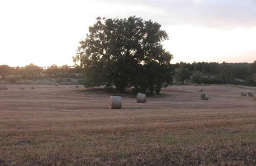 casavacanzetorresansevero - Foto 4