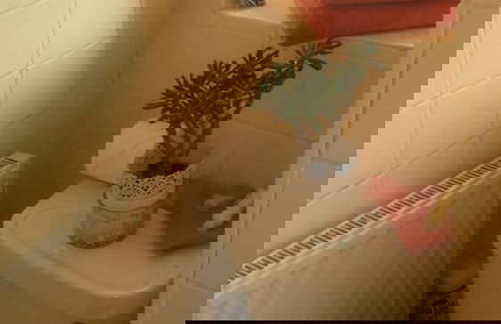 Clean & Modern 1 Bedroom Apartment - Foto 8