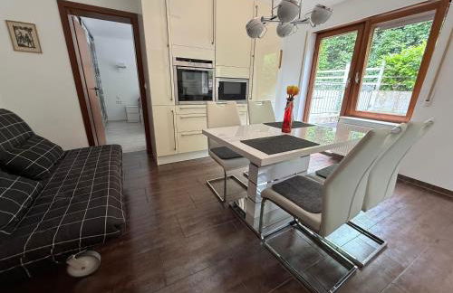 Goldstadt Garden Residence - City Apartment Pforzheim - Foto 77