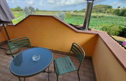 Cecco di Nara - Foto 31