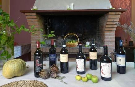 Bio Agriturismo Valle dei Calanchi - Foto 137