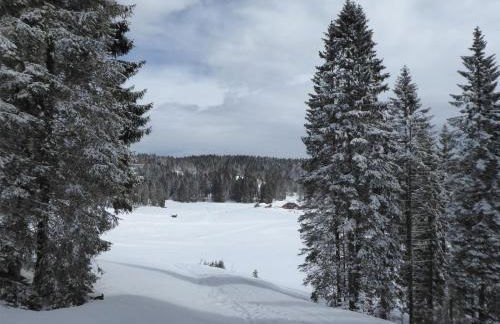 Baita Genzianella - Foto 49