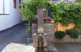 Ferienhaus Würzgarten - Foto 36