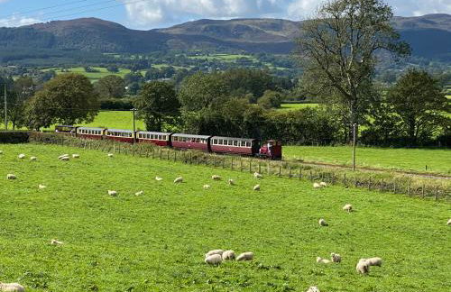 Llys Tirion - Photo 41