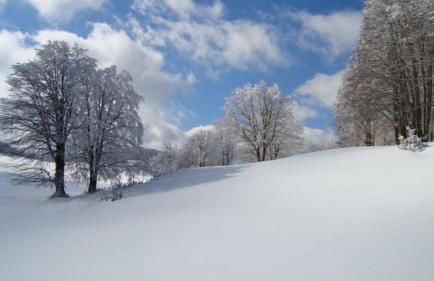 La Mia Valigia “Casetta Fragolina” - Foto 36