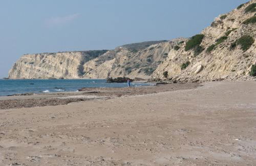 Level Houses - Foto 46