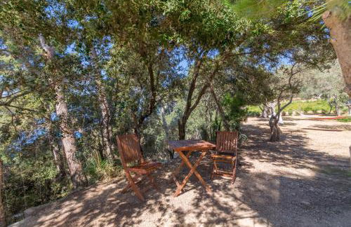 Valldemossa - 2813-88 Mallorca - Foto 2