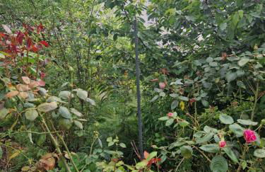 Paris Villette by metro 7, France Stadium, break moment studio - Foto 19