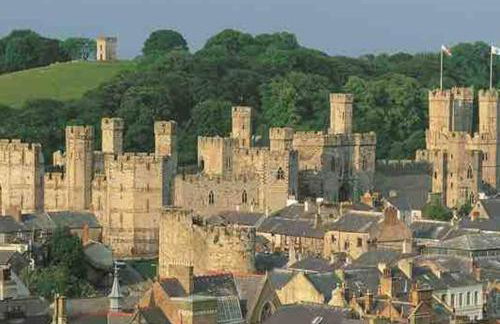 Compact Modern Apartment Single Person or Couple Only - Photo 24